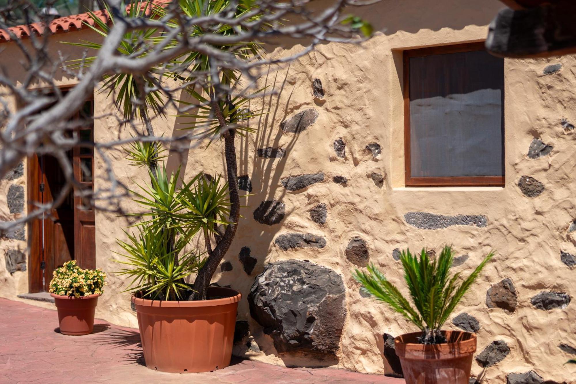 Casa Rural Tinamar Vega de San Mateo Exterior photo